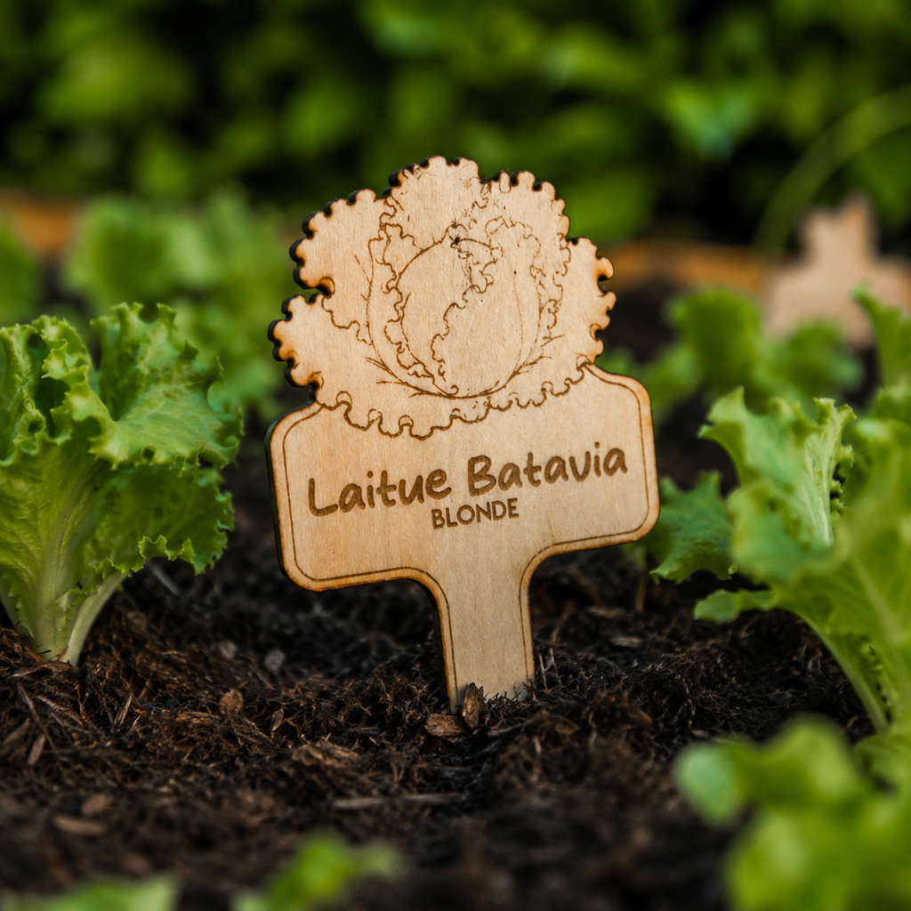 Étiquettes potager personnalisées en bois – Pics de jardin gravés