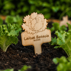Étiquettes potager personnalisées en bois – Pics de jardin gravés